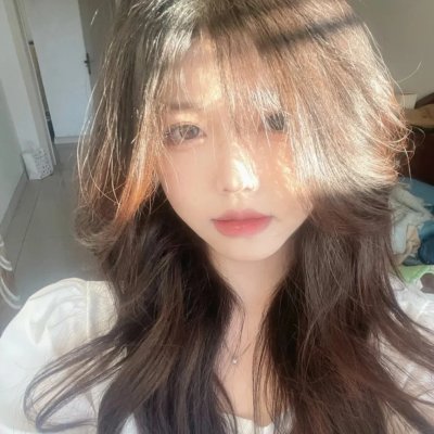 亚西西的圣方济各封面