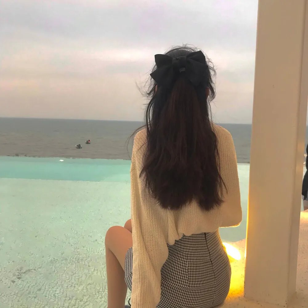 偷烧鸭封面