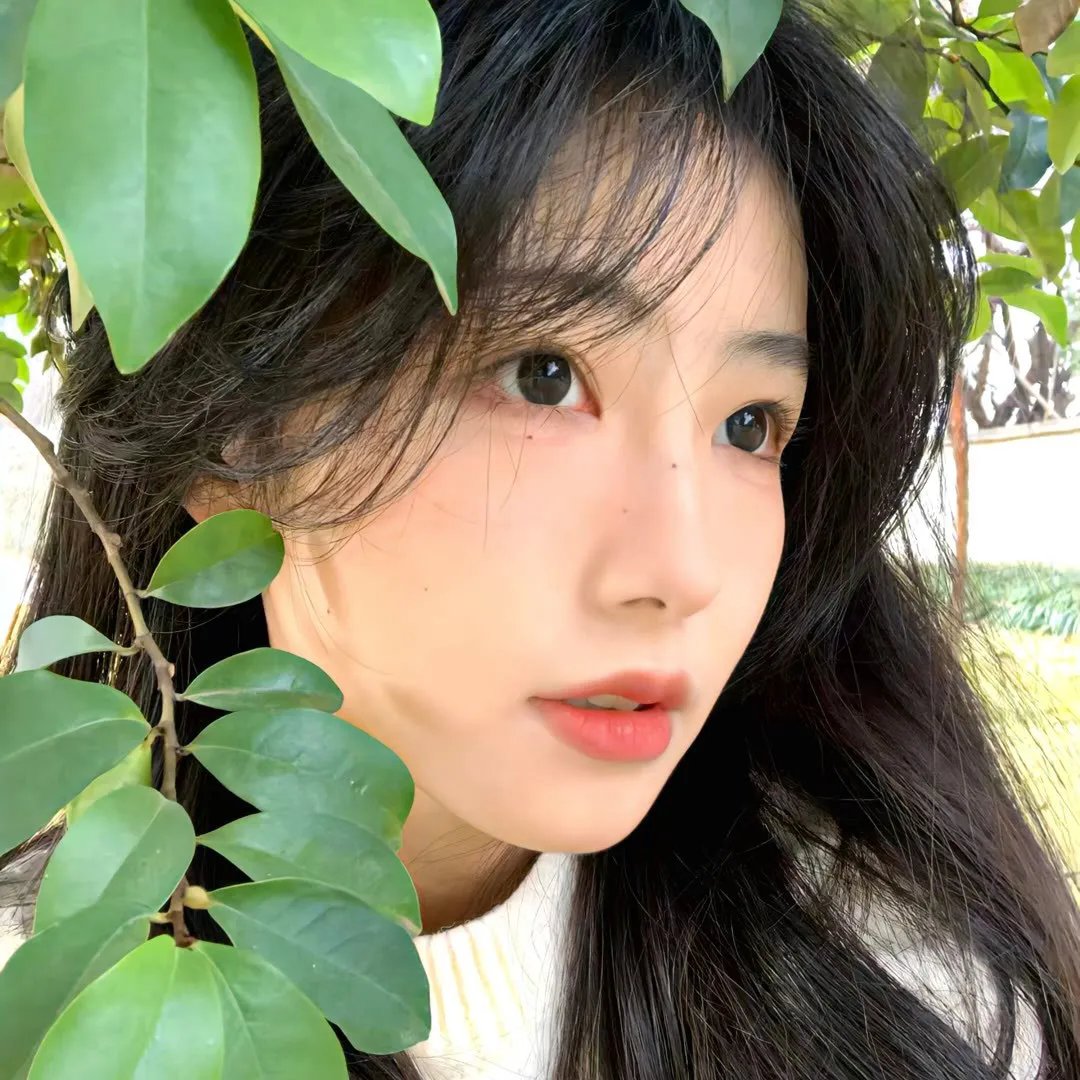 理想的丈夫封面